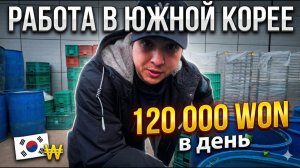 КАК ВЫЖИВАЕТ РУССКОЯЗЫЧНАЯ МОЛОДЕЖЬ В ЮЖНОЙ КОРЕЕ: Сколько я получаю   Вся правда и минусы работы