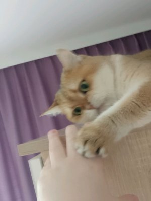 супер укладка