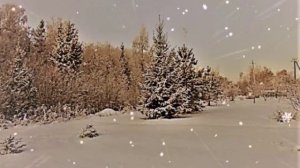 Приезжайте в Каменку