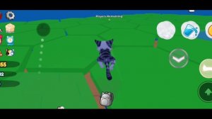 играю в китенвилл😺