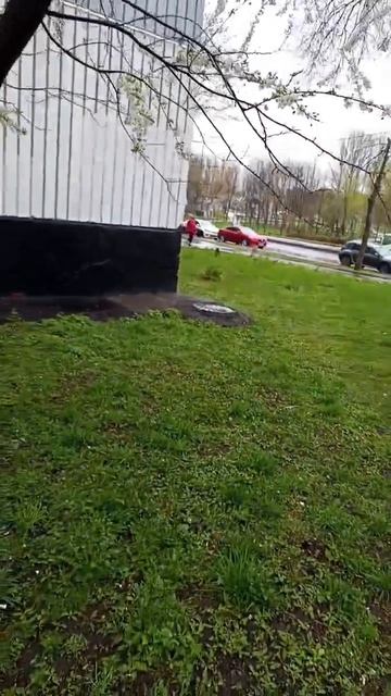 20260423 23 апреля, а в Москве в Южном Медведково цветет сакура.