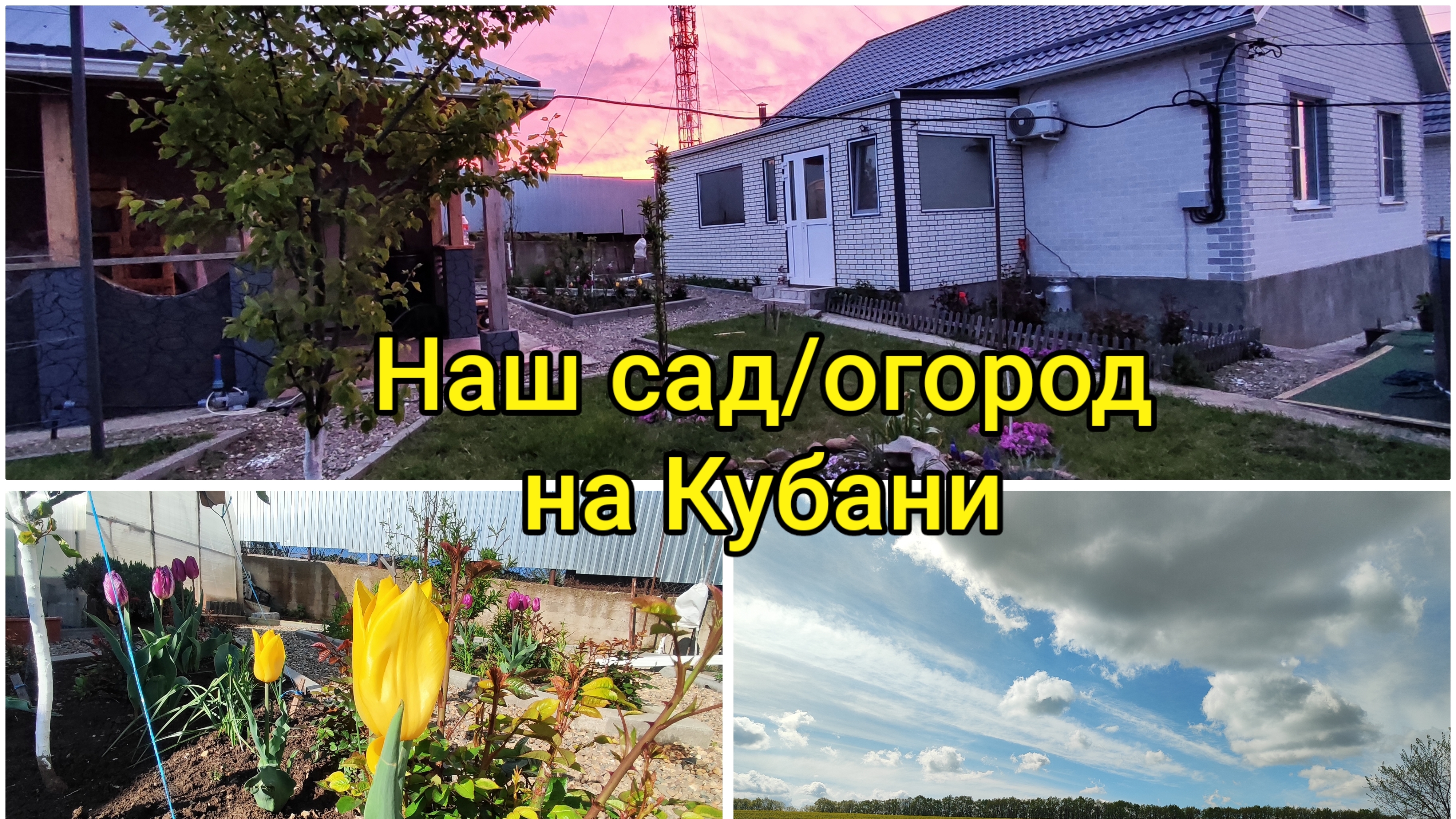 Влоги с ЮГА Наш садогород на Кубани  Творческий кризис