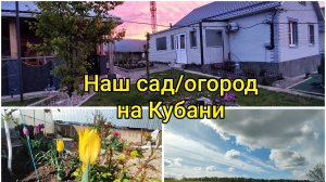 Влоги с ЮГА🌞 Наш сад/огород на Кубани 🌳 Творческий кризис🎥