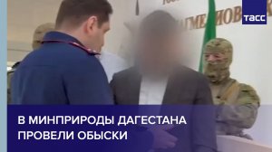 В Минприроды Дагестана провели обыски