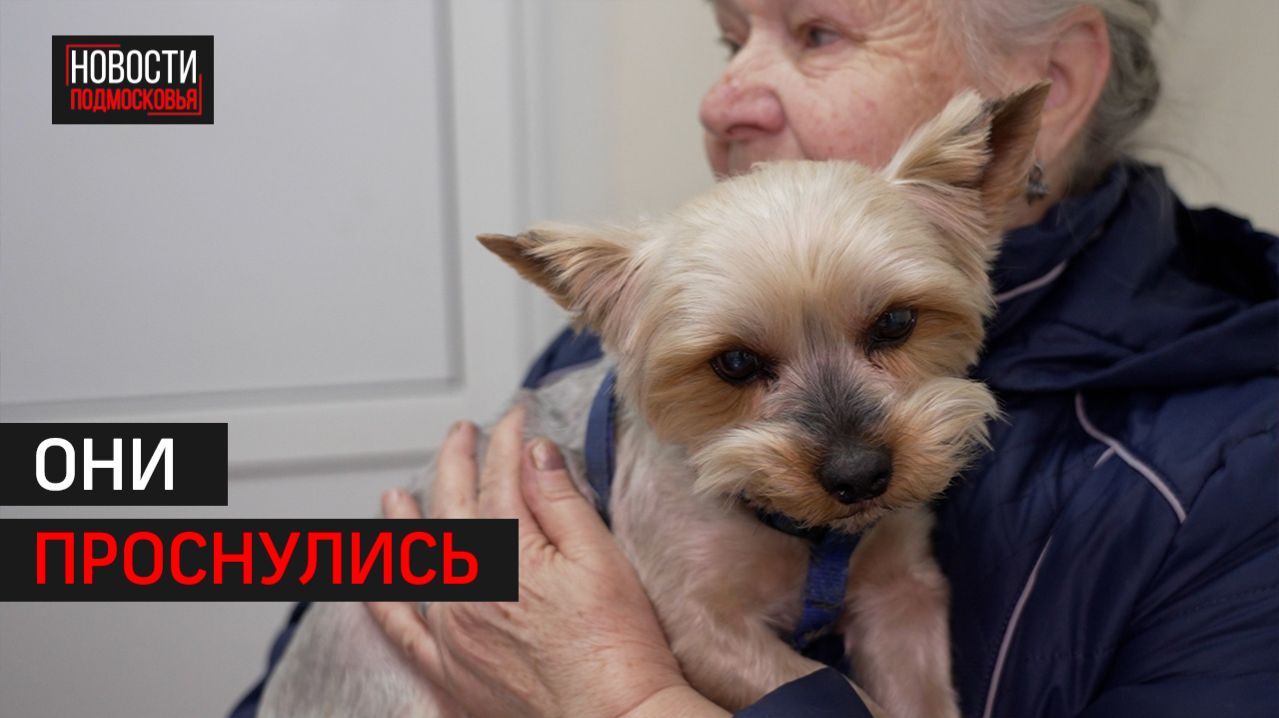 Первых клещей фиксируют ветврачи Одинцова // 360 Одинцово