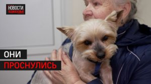 Первых клещей фиксируют ветврачи Одинцова // 360 Одинцово