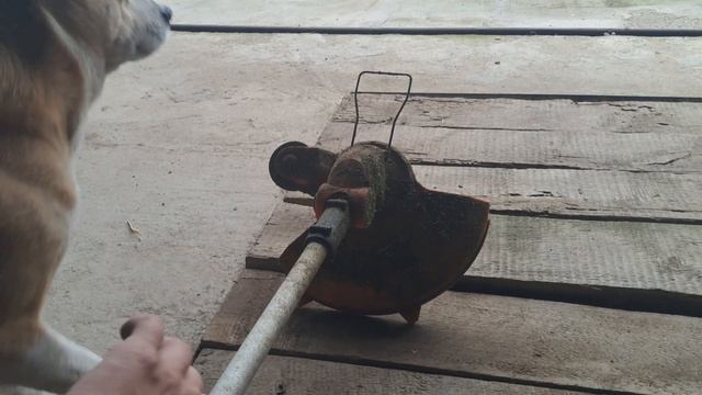 Какой триммер выбрать, аккумуляторный или бензиновый