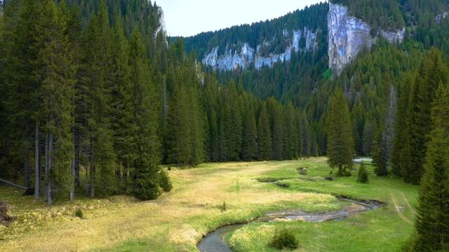 Лес Природа Релаксационный фильм Спокойная музыка Медитация Звуки природы