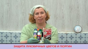 Чтобы гладиолусы и лилии не болели: Максим Дачник + Почин от проволочника | Советы Марины Рыкалиной