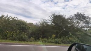 ДЕРЕВО ЖЕЛАНИЙ! Абхазия Илорский храм Георгия Победоносца (АРХИВ 23.10.2