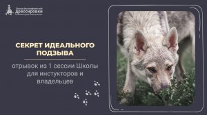 Секрет идеального подзыва