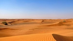 Прогулка по пустыне