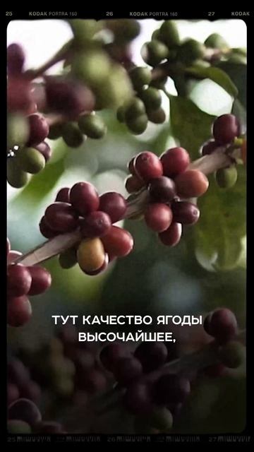 Цели поездки в Гватемалу 2026