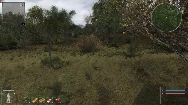 S.T.A.L.K.E.R. Объединённый Пак 2.2 - Спасаю Химика и Пригоршню в Забытом Лесу