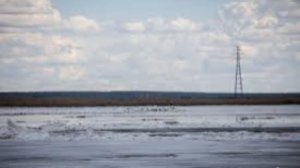 24 апреля - Антип Водогон. Традиции и народные приметы