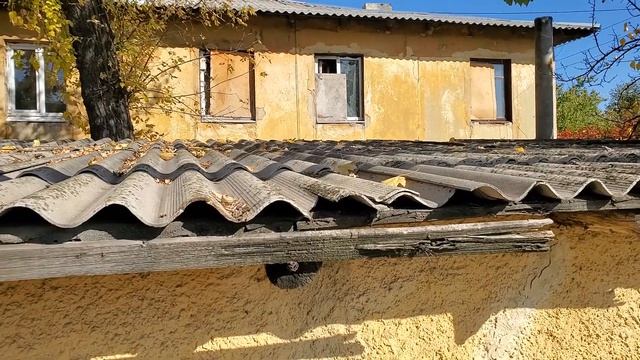 The Petrovsky Babushkas