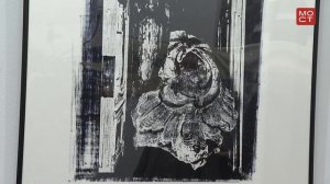 Новости СПбГУ: «Набоков. Лаб. Выставка-расследование»