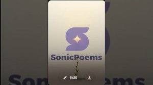 Сергей Есенин — Не видать за туманною далью (вар1)