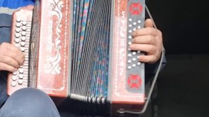 Виновата ли я на гармони.