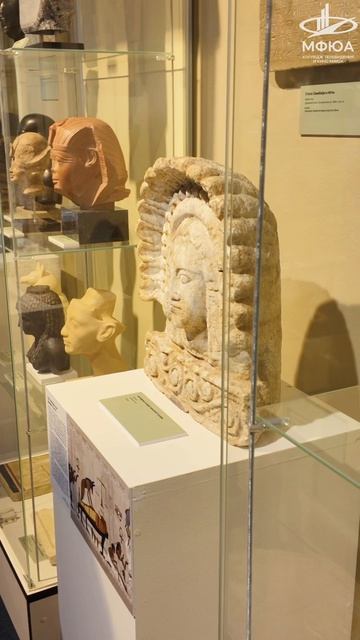 Путешествие на север, не выезжая из Москвы? 🌬️✨