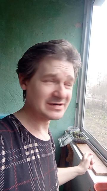 клип музыка