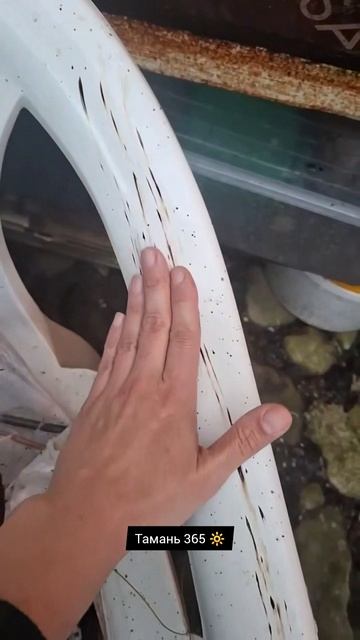 Туапсе. После украинской атаки и пожара на объектах нефтепереработки на жителей выпал нефтяной дождь