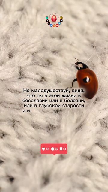 Мотивация дня!..