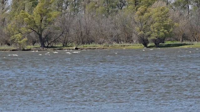 Рыбалка в Астрахани, погода не радует.mp4