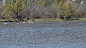 Рыбалка в Астрахани, погода не радует.mp4