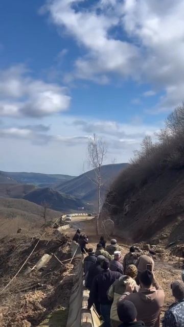  Вот это мощь! Дерево стойко выдержало оползень и покатилось вниз