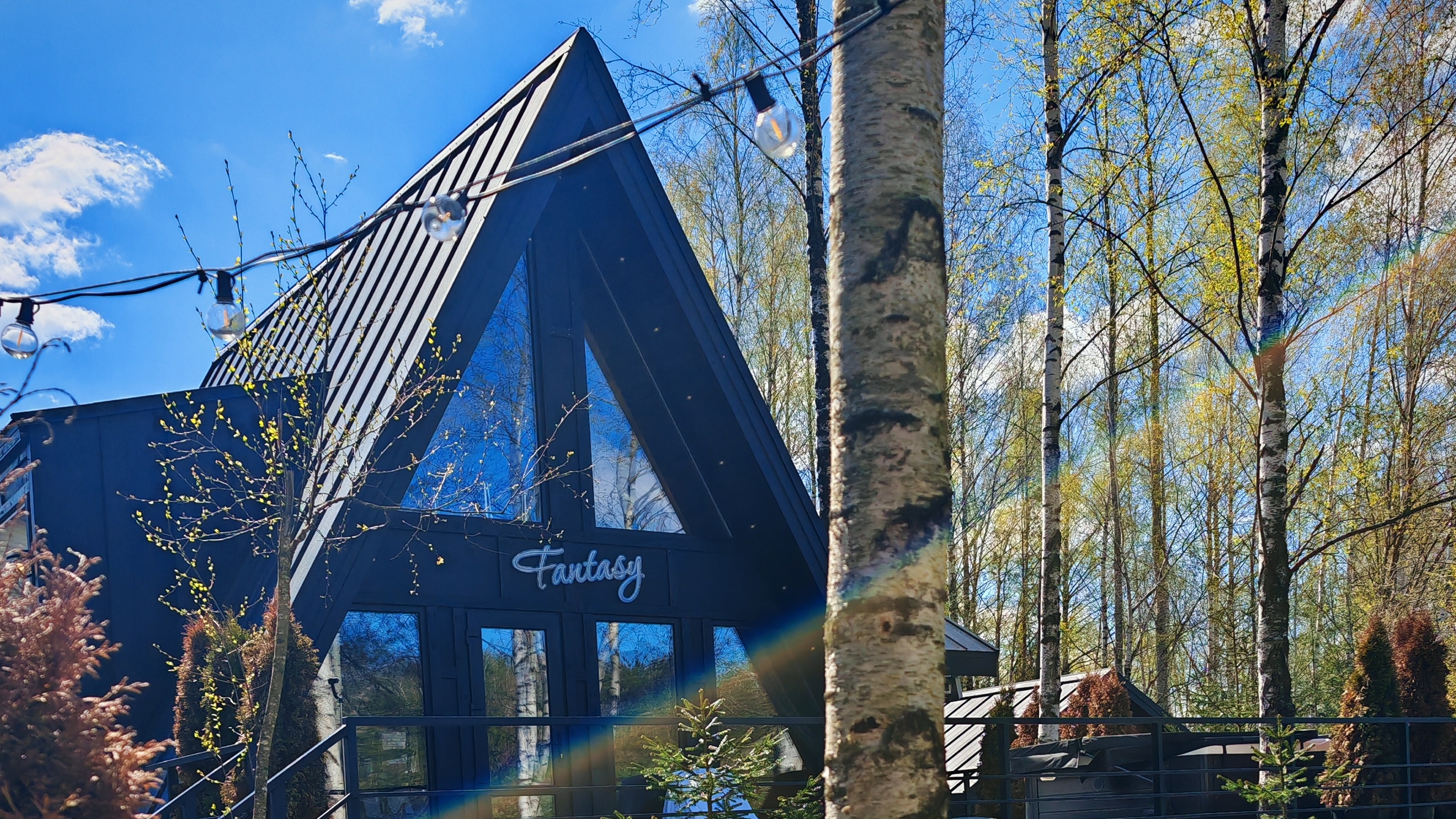 Беларусь. Лес. Треугольный домик и друзья