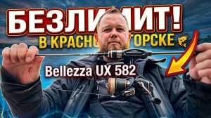 #52 НОВАЯ ПАЛКА Bellezza UX 24GBELUS-582XUL-T. РЫБАЛКА НА ФОРЕЛЬ НА ПЛАТНИКЕ. РК БИГ КАРП.