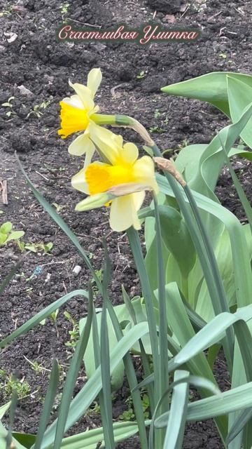 Природа апреля