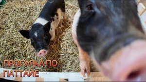 НОСТАЛЬГИЯ! Тут всё: ТЦ, рынок, ТУК-ТУК и ЖИВОТНЫЕ