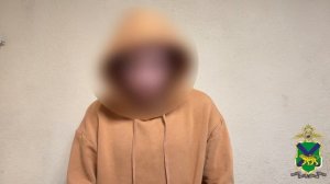 Во Владивостоке за помощь аферистам в хищении почти 20 млн рублей у 12 человек задержаны 2 подростка