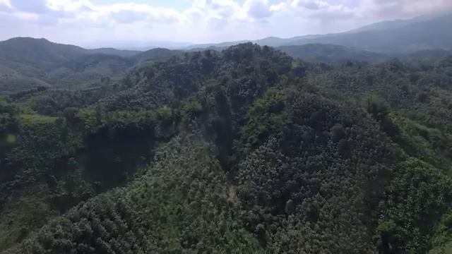 БОЛЕЗНЬ - ЭТО НАРУШЕНИЕ КОНТРАКТА Он узнал почему мы УМИРАЕМ рано ОКОЛОСМЕРТНЫЙ ОПЫТ