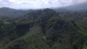 БОЛЕЗНЬ - ЭТО НАРУШЕНИЕ КОНТРАКТА Он узнал почему мы УМИРАЕМ рано ОКОЛОСМЕРТНЫЙ ОПЫТ