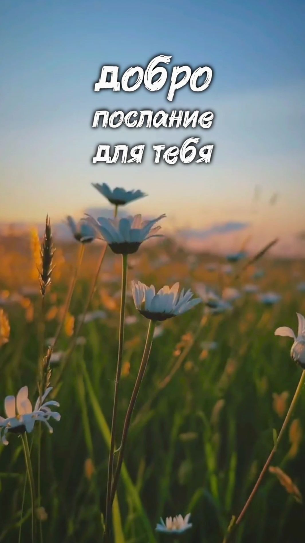 Доброе послание