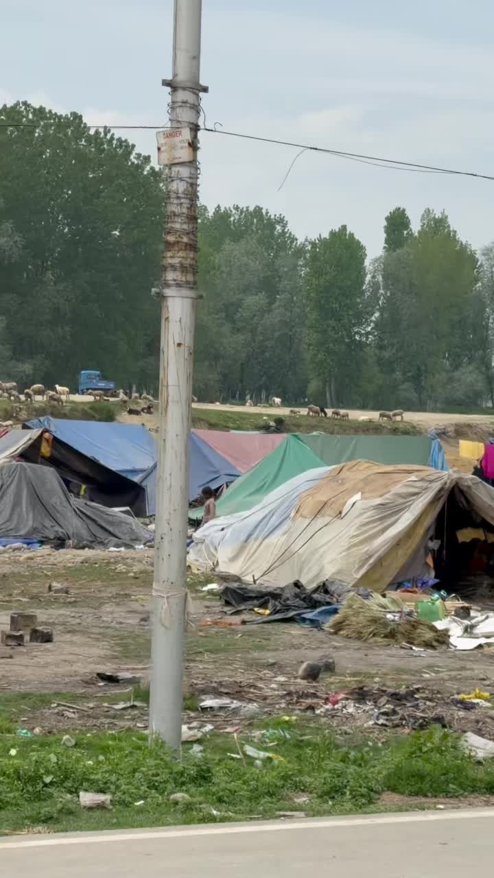 Как живут бомжи в кашемире