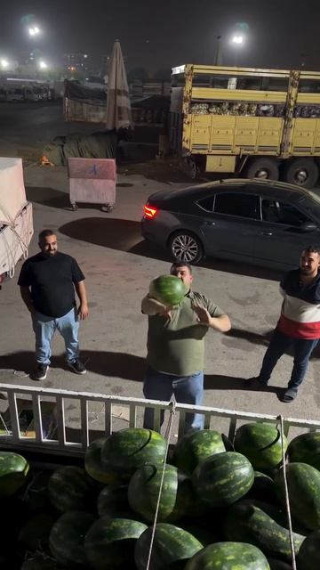 Повелитель арбузов)