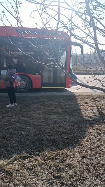 адмиралик. извините за качество 😪