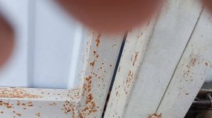 як вам такая пагода природа 👍👍👍👍👍