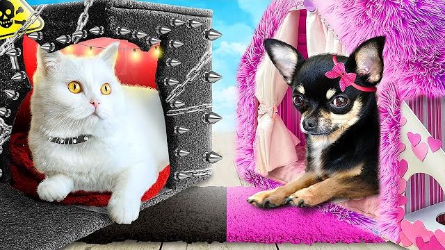 Хорошая собака vs плохая кошка! Мы построили домики для домашних животных