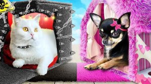 Хорошая собака vs плохая кошка! Мы построили домики для домашних животных