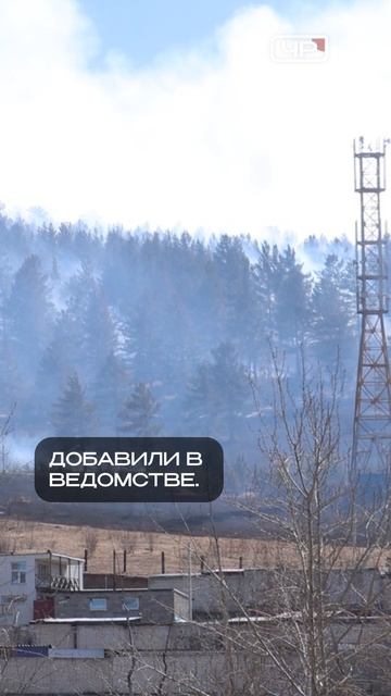 6 регионов России не готовы к пожароопасному сезону