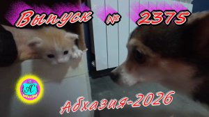 #Абхазия2026🌴 23.04.26г.🔥 Выпуск № 2375❗вчера +13°🌡ночью +10°🌡море +13,3°🐬