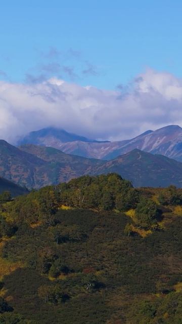 Доброе утро