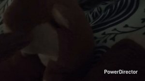 серия 21 гости