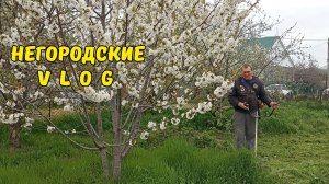 Весна - море увлечений без особого значения! 18.04.26