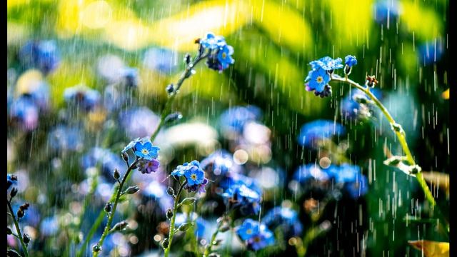 С. Маршак. Дождь. Гроза днём